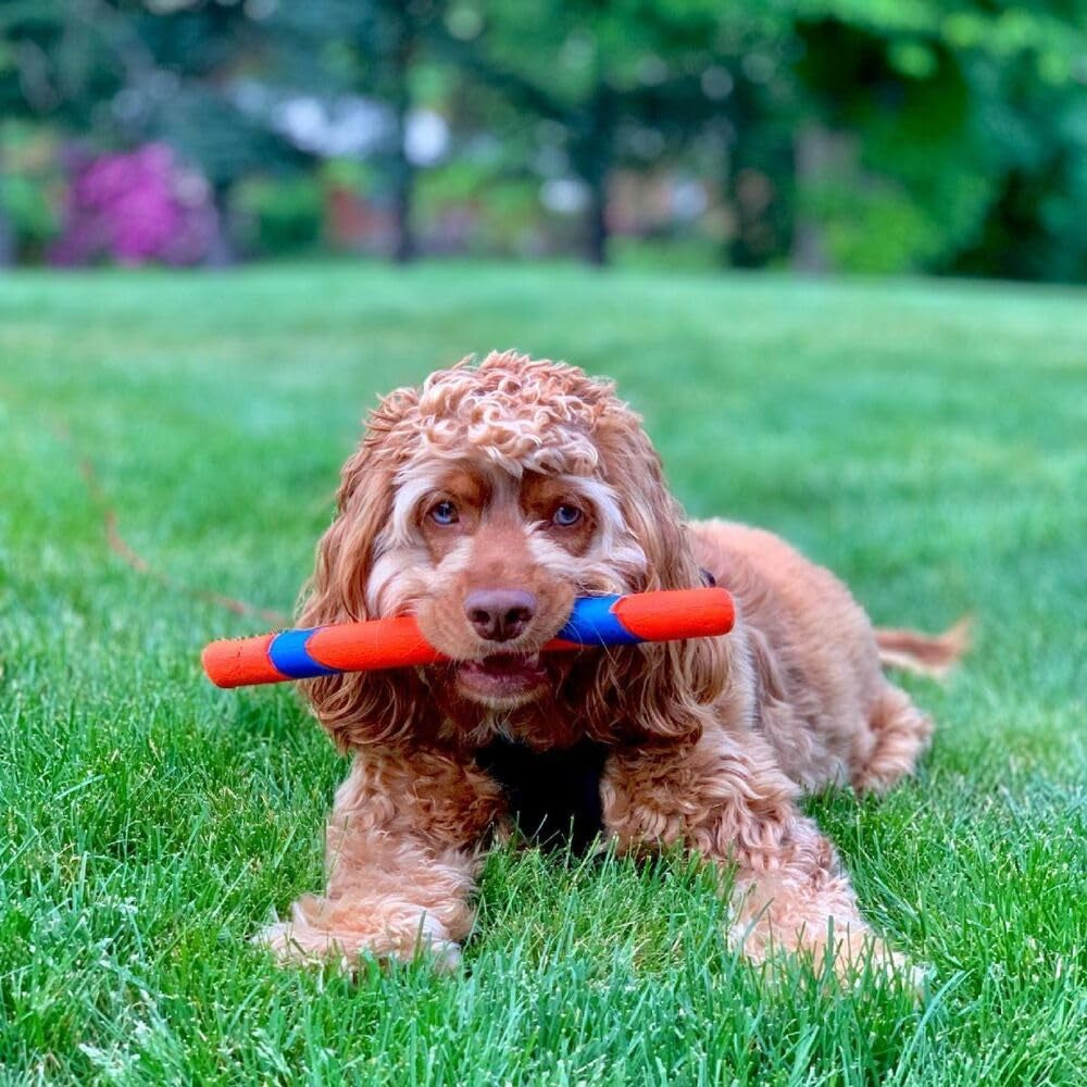 Chuck It Ultra Fetch Stick Outdoor Dog Toy, for All Breed Sizes