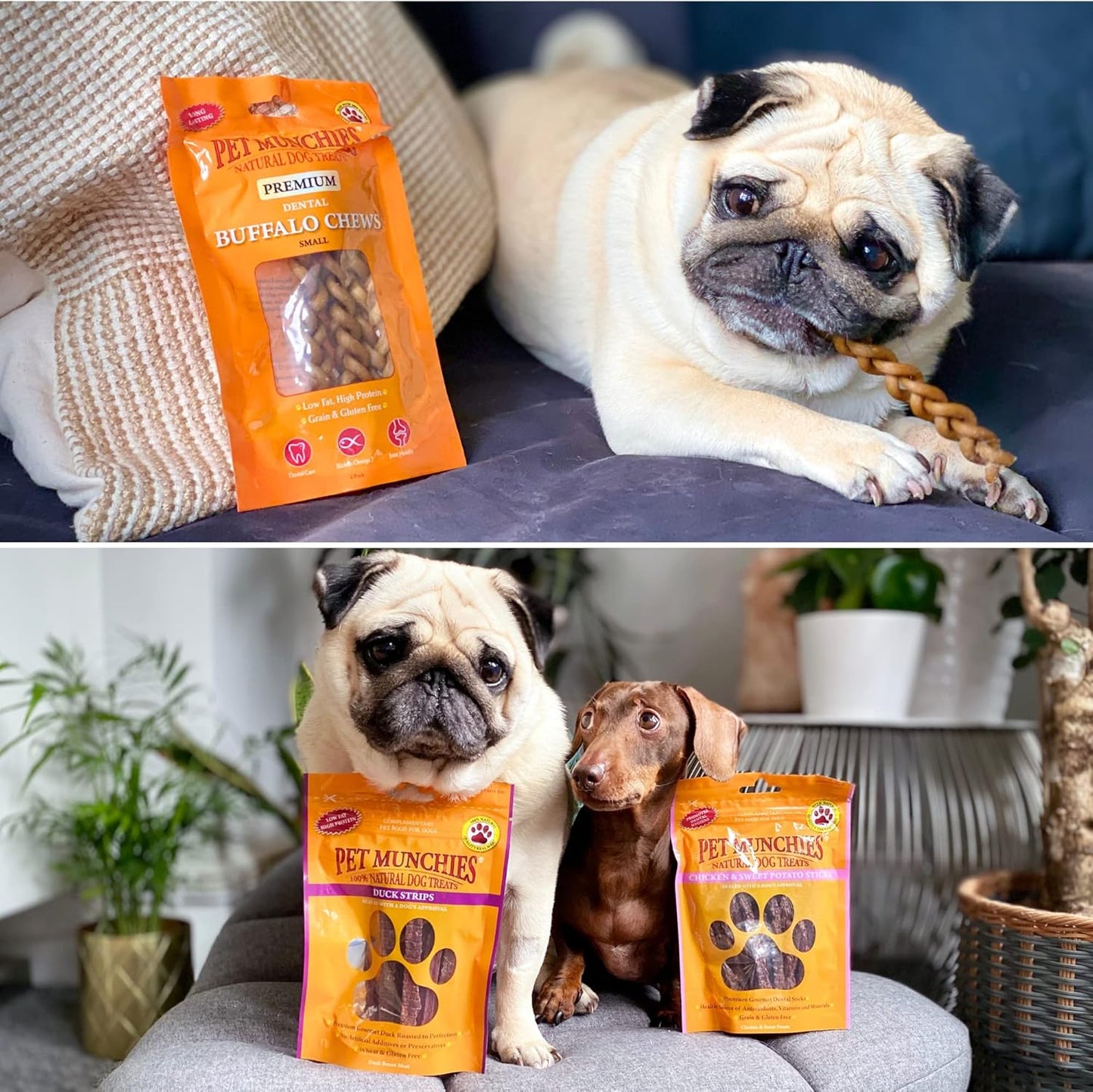 Fillet Dog Treat (100G) Flavour: Chicken Breast