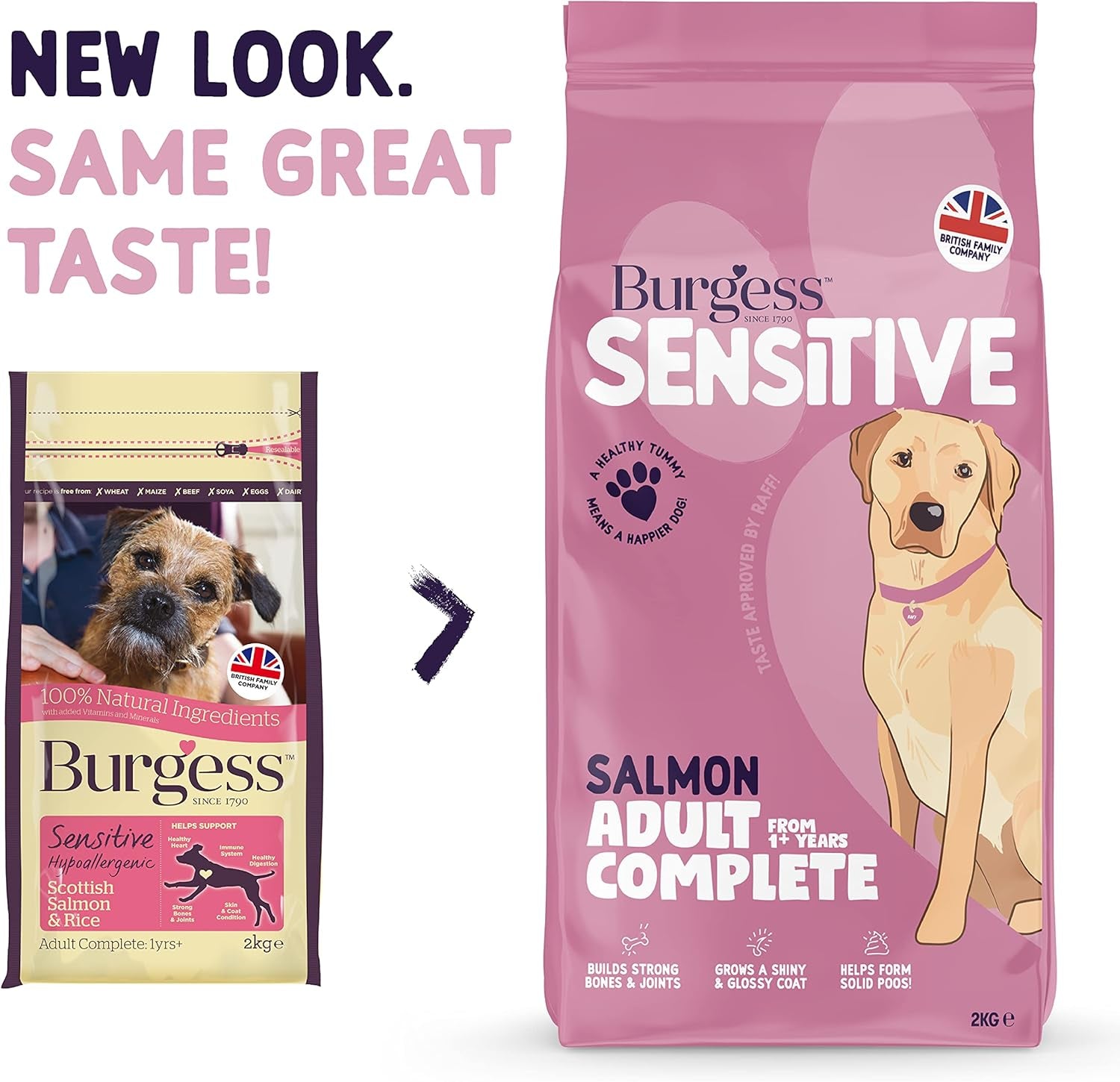 Sensitive Dry Dog Food Salmon, 2Kg