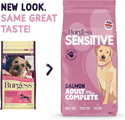 Sensitive Dry Dog Food Salmon, 2Kg