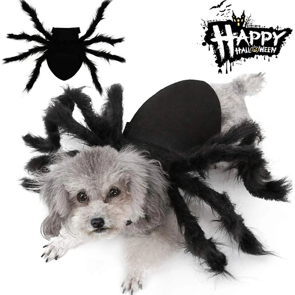 Halloween Spider Clothes for Pet Dog Cat Spider Costumes Dressing up Pet Clothes Pet Halloween Props Party Clothing Accessories