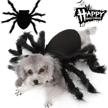 Halloween Spider Clothes for Pet Dog Cat Spider Costumes Dressing up Pet Clothes Pet Halloween Props Party Clothing Accessories