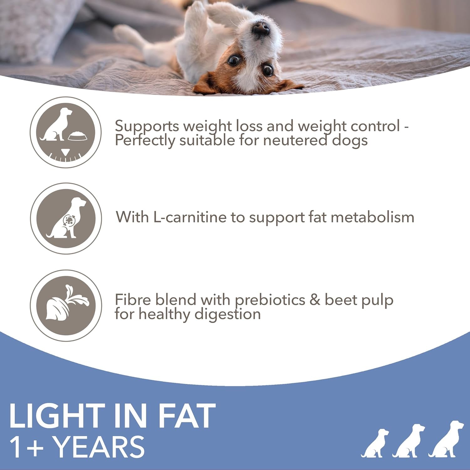 Light in Fat Complete Dry Dog Food Chicken 3Kg - 30% Lower Fat Formula