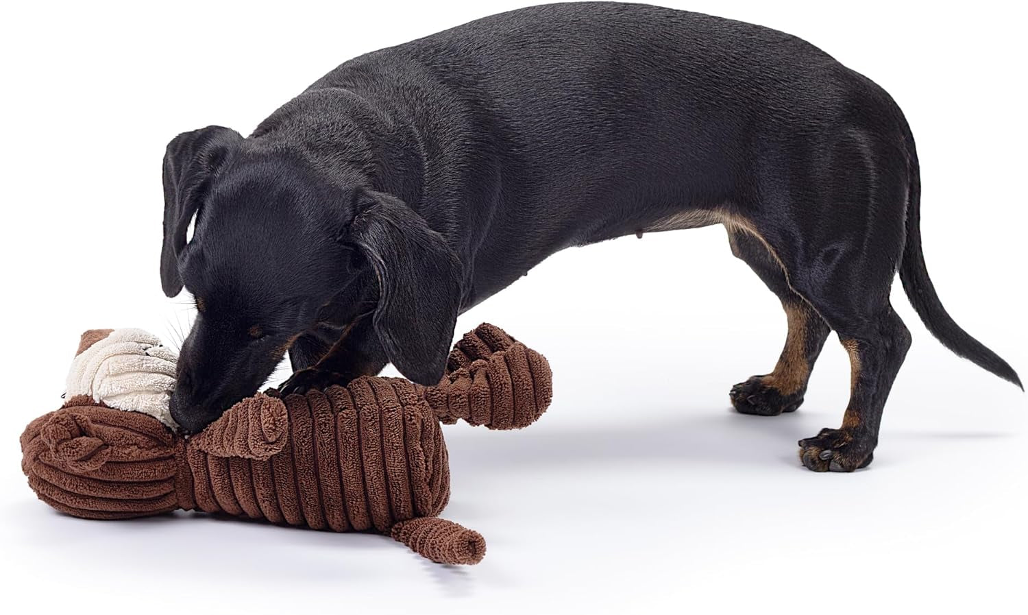 Brown Monkey Plush Dog Toy with Squeaker – Soft, Ribbed Fabric for Chewing and Interactive Play. a Great Choice for Small, Medium, or Large Dogs Playtime with Squeaky Toys