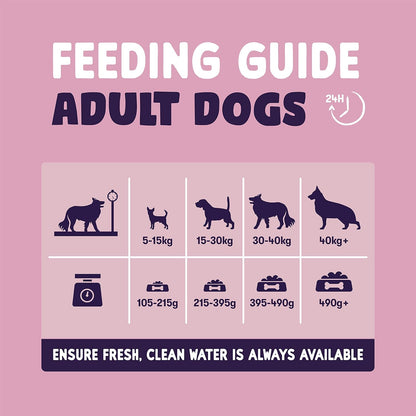 Sensitive Dry Dog Food Salmon, 2Kg