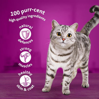 Wishkas  1+ Adult Wet Cat Food Pouches - 40 X 85 G - Poultry Selection - Bulk Cat Food Megapack - 40 Jelly Pouches