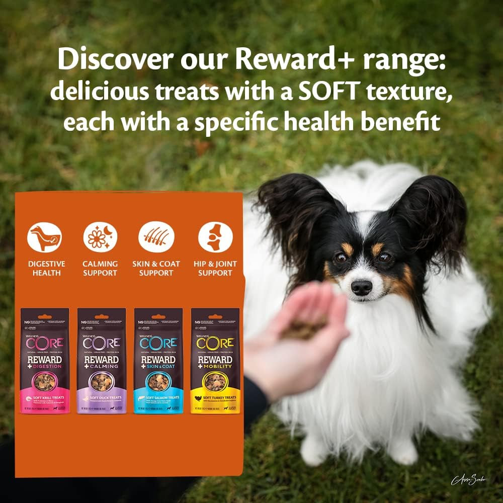 Reward+ Skin & Coat, 170G, Salmon, Soft Dog Treats for All Dog Breeds, All-Natural, Grain-Free, High Meat Content, Protein-Rich, Supports Healthy Skin & Coat