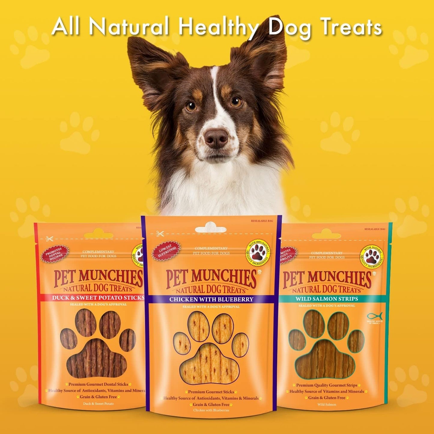 Fillet Dog Treat (100G) Flavour: Chicken Breast