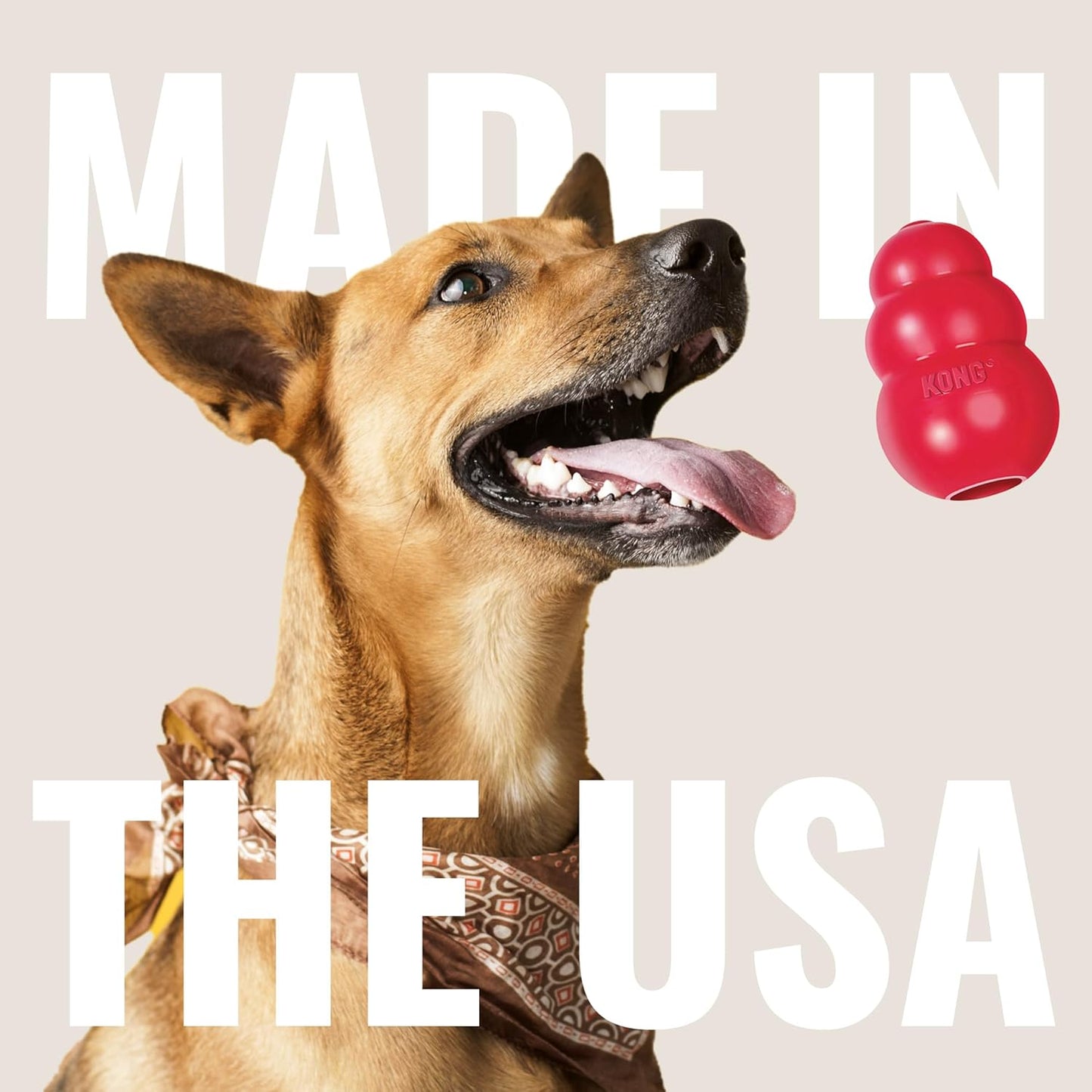 Classic Stuffable Dog Toy - Fetch & Chew Toy for Dogs - Treat-Filling Capabilities - Durable Natural Rubber Material - for Small Dogs